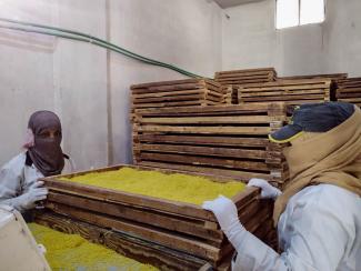 Following USAID’s partnership, Ayman’s vermicelli business saw an increase in production capacity across the board.