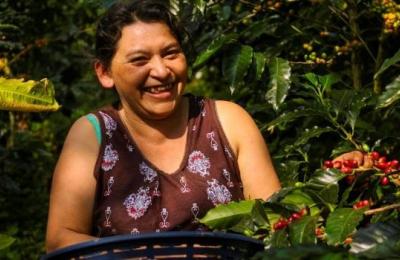 A happy woman surrounded by coffee plants