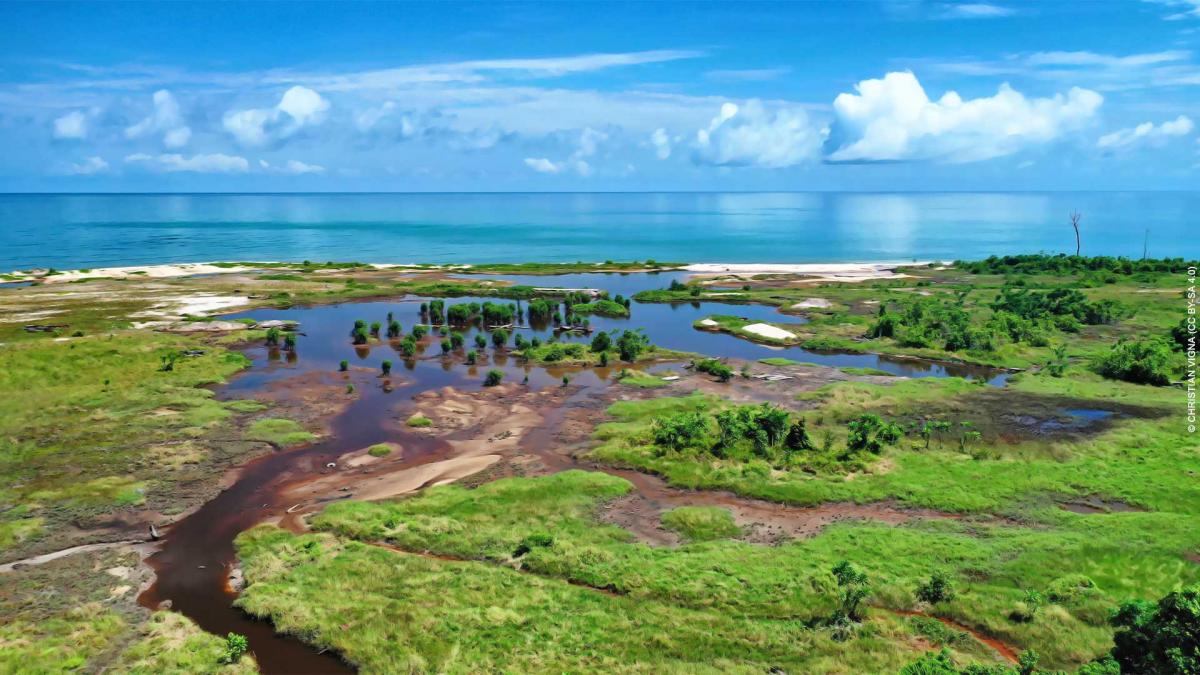 Aerial view of a mangrove with the ocean beyond