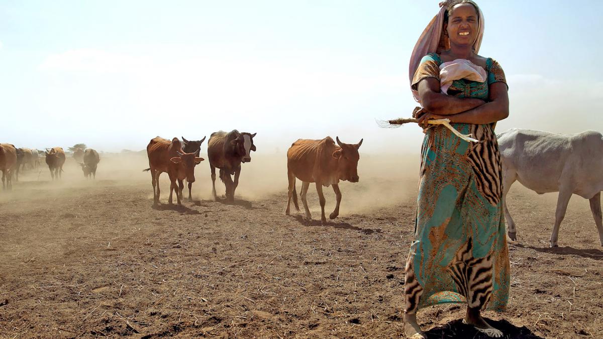 A woman stands in front of a herd of cattle 
