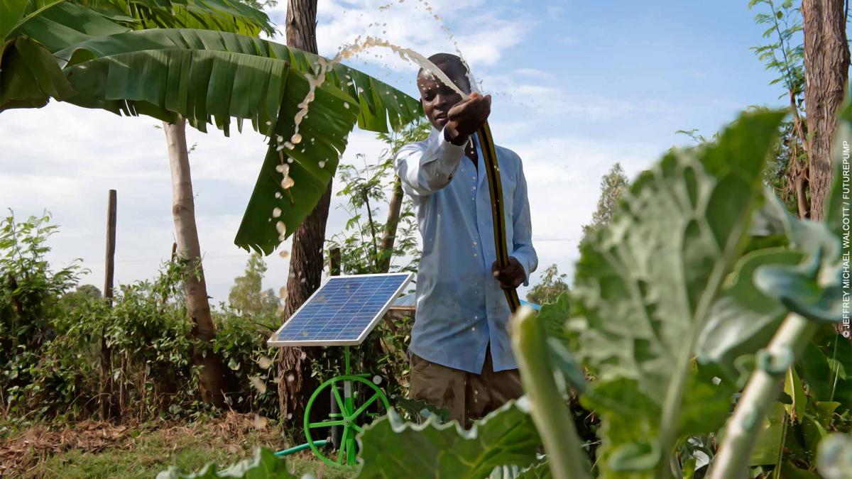 A farmer waters plants using a solar powered water pump