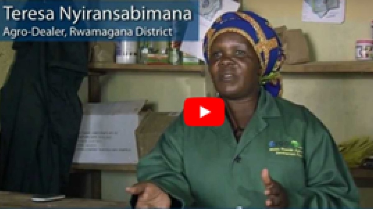 Privatizing Fertilizer Import and Distribution for Rwanda