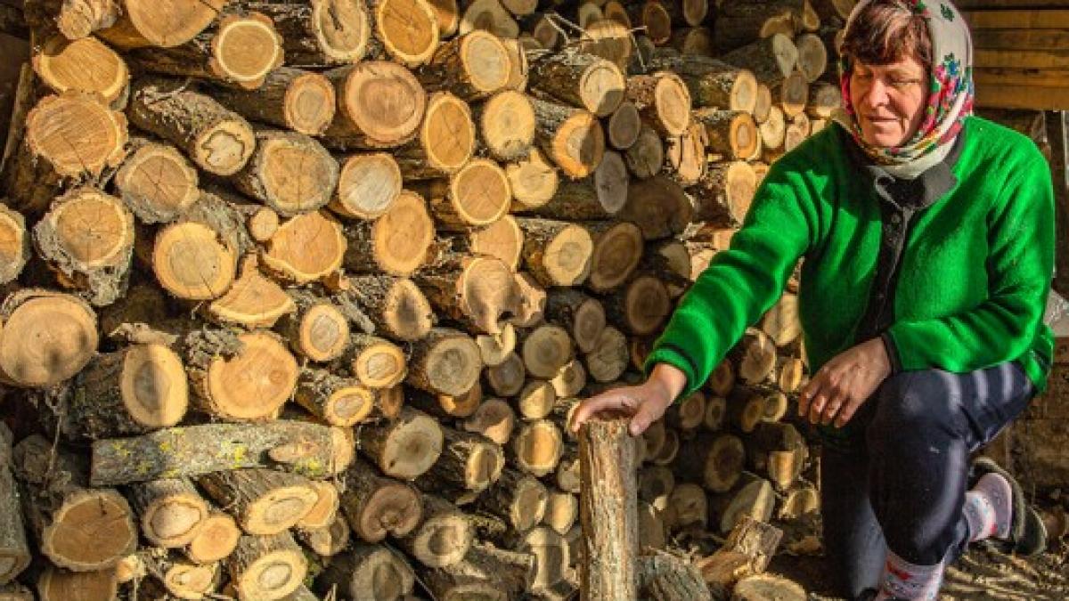 Industry Liaison | A woman prepares firewood