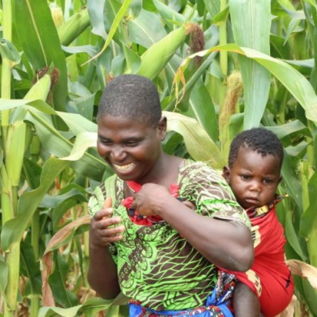 Through USAID’s Africa RISING program, farmers in Malawi, like Mercy Joseph (pictured), learn agroforestry practices to improve food security while increasing soil fertility, tree canopy, and wildlife habitat.