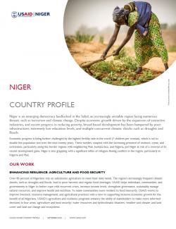 Niger Country Profile