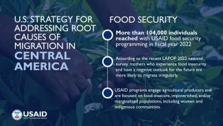 U.S. Strategy for Addressing Root Causes of Migration in Central America - Food Security. More than 104,000 individuals reached with USAID food security programming in fiscal year 2022. According to the recent LAPOP 2022 national survey, mothers who experience food insecurity and have a negative outlook for the future are more likely to migrate irregularly. USAID programs engage agricultural producers and are focused on food-insecure, impoverished, and/or marginalized populations, including women and Indige