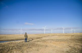 A man looking at wind turbines in the distance