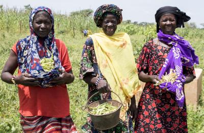 In Bandiagara, Mali, three women from the Yaam Girobolo Toumo Cooperative Society are happy to show off their cowpea harvest. Hamdia Traore /DevWorks International