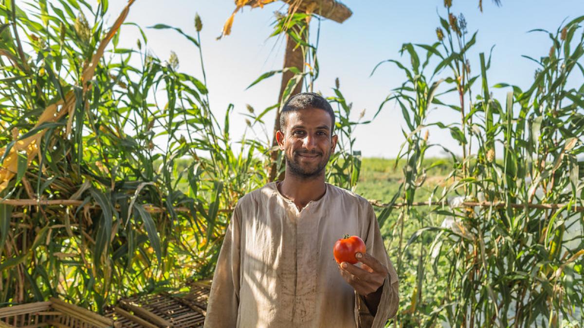Linking Smallholder Farmers to Global Markets