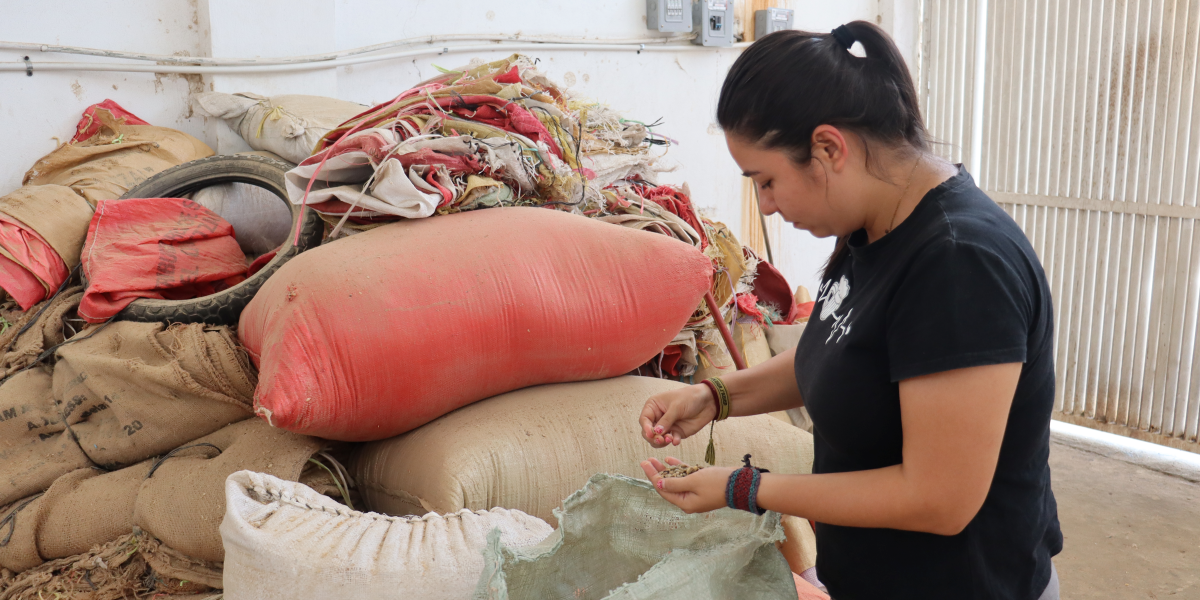 Isabel Camacho inspects the coffee beans from the Anepaan O' Deput coffee cooperative.