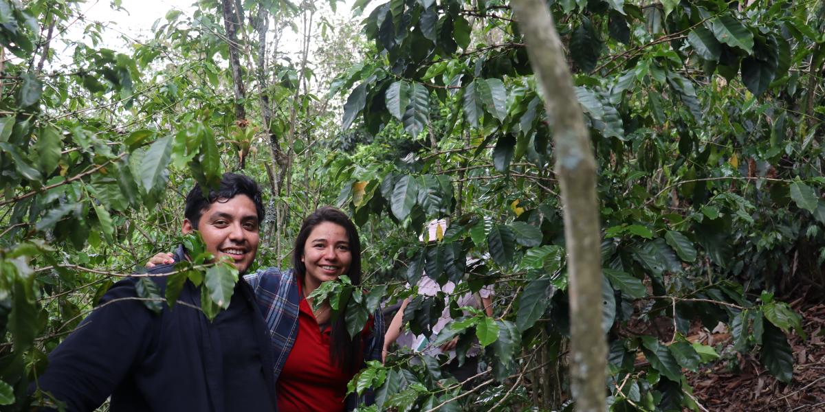 Members of the Anepaan O'Deput coffee cooperative standing in a coffee farm. The cooperative encourages members to conserve the area's diverse species alongside growing their coffee. Anepaan O'Deput's coffee production is certified organic with the CPO Mex, USDA Organic, Organic EU, and Fair Trade certifications.