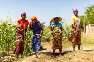 USAID Support for UN Declaration Designating 2026 as International Year of the Woman Farmer