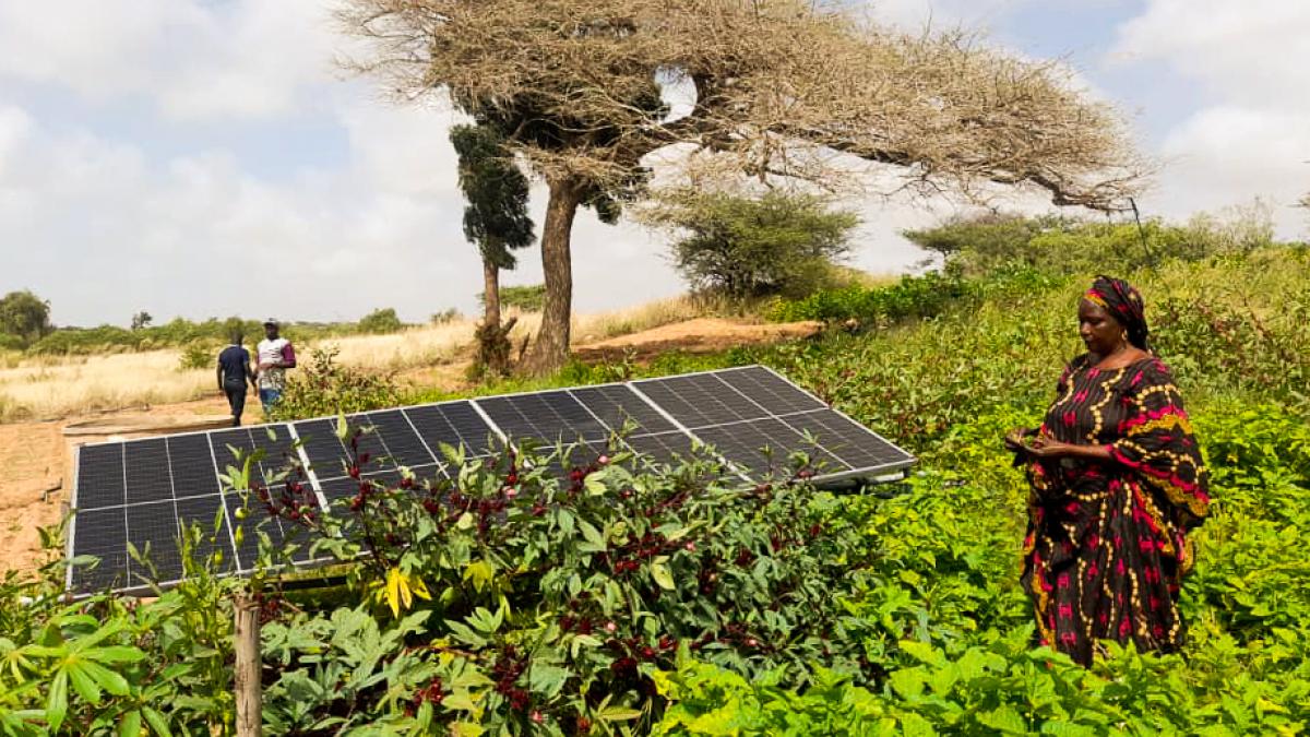 SOLAR POWER BRINGS CLIMATE-FRIENDLY EFFICIENCY AND PROFIT TO WOMEN’S FARMS