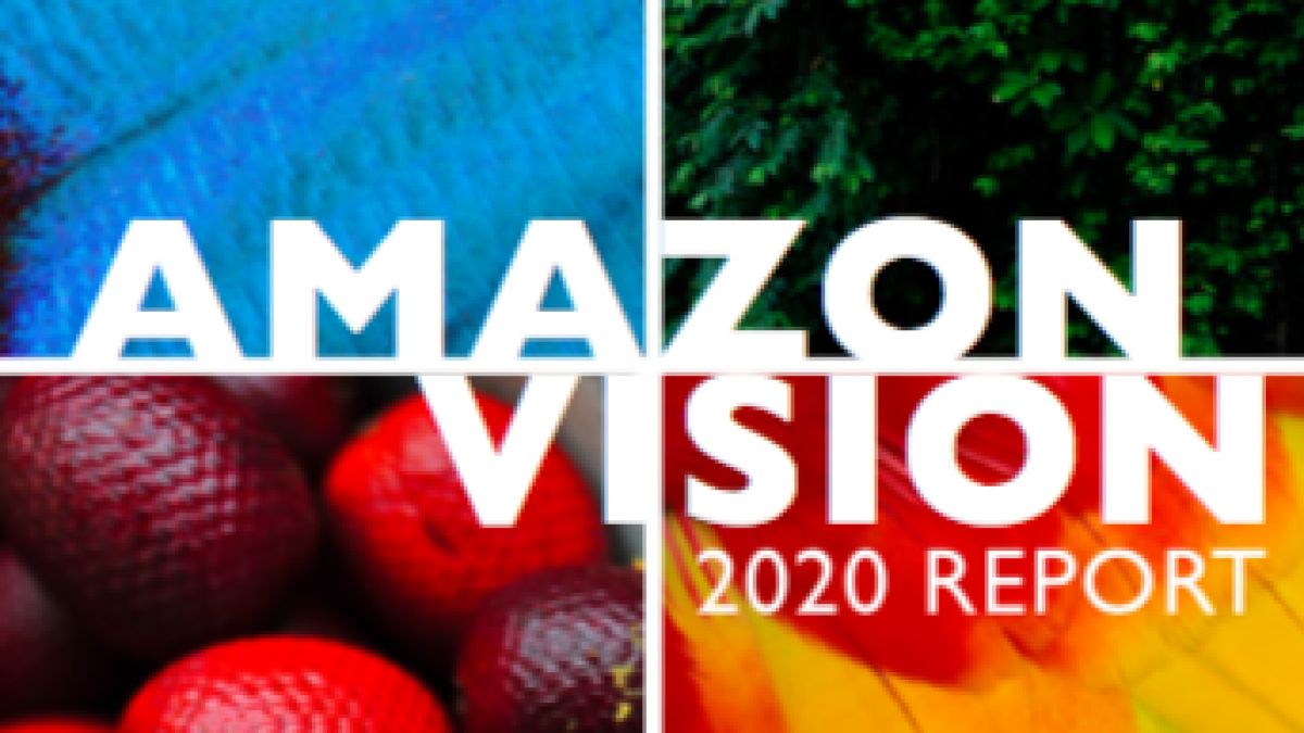 Amazon Vision Report
