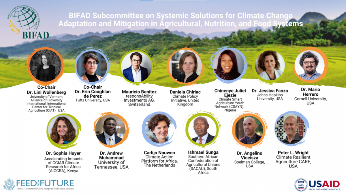 BIFAD Subcommittee Members on Systemic Solutions for Climate Change Adaptation in Agricultural, Nutrition, and Food Systems