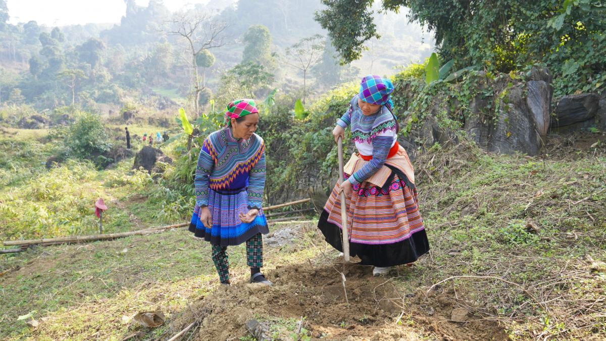 USAID supports a tree planting event in Bac Ha district of Lao Cai province