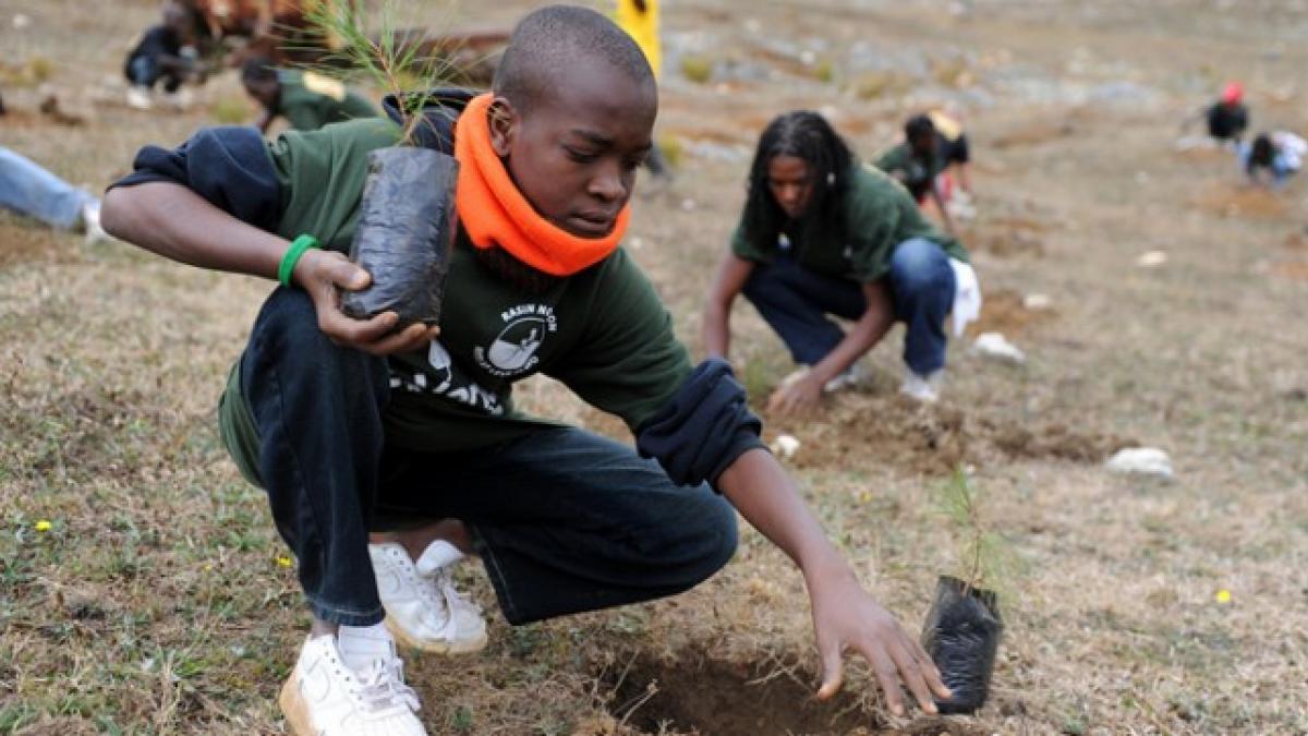 A student plants a tree in spring 2011 as part of a reforestation project with a local NGO in La Visite National Park, Haiti.