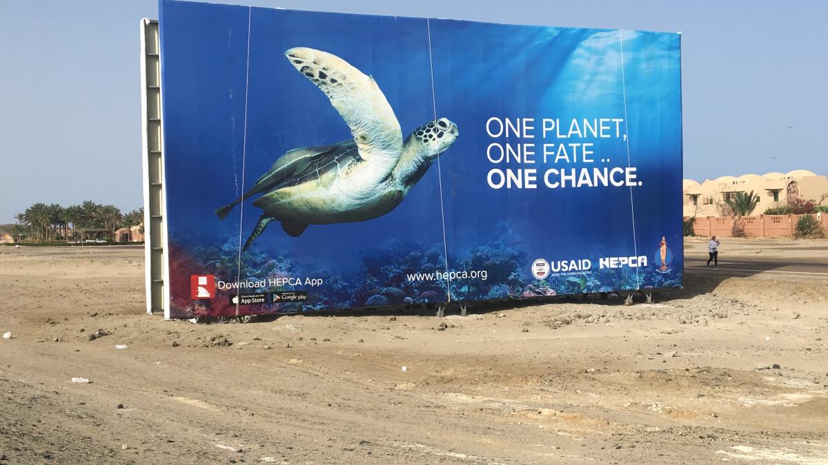 A billboard for the HEPCA / USAID initiative shows a sea turtle in the Red Sea. 