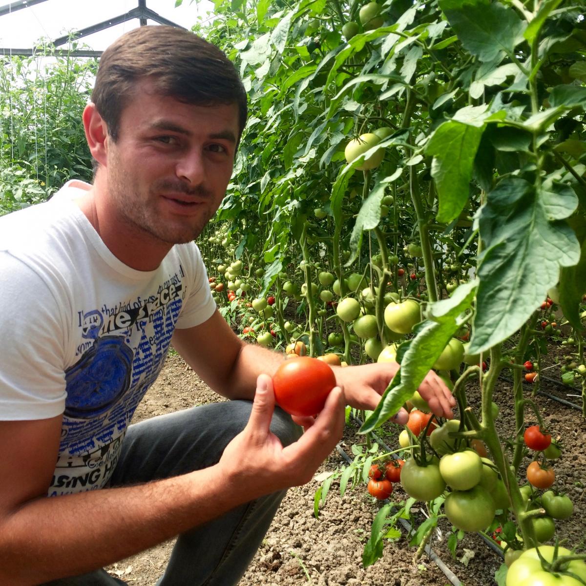 Giorgi Shavadze set up his first greenhouse in 2015 with USAID assistance.