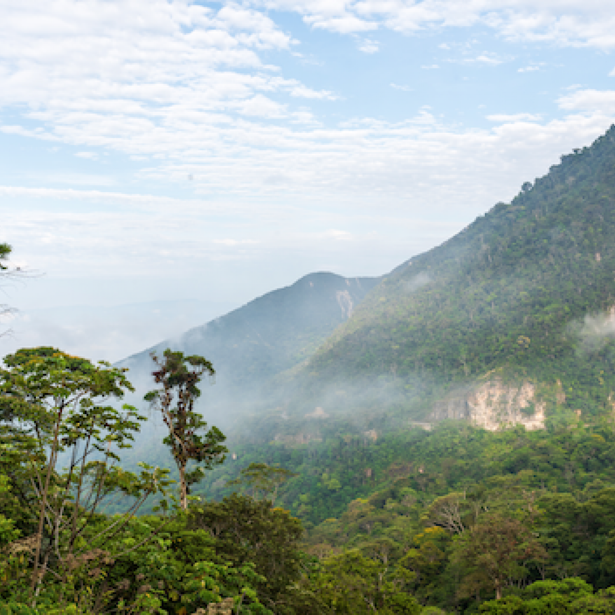 Mountains in the Amazon Rainforest
