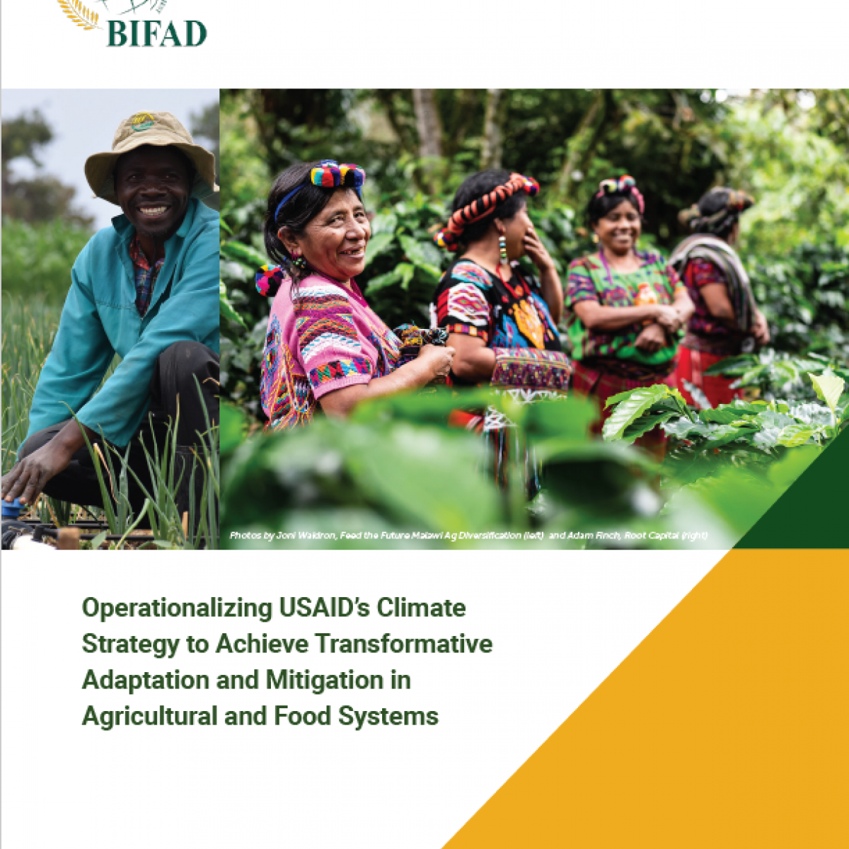 Operationalizing USAID’s Climate Strategy to Achieve Transformative Adaptation and Mitigation in Agricultural and Food Systems
