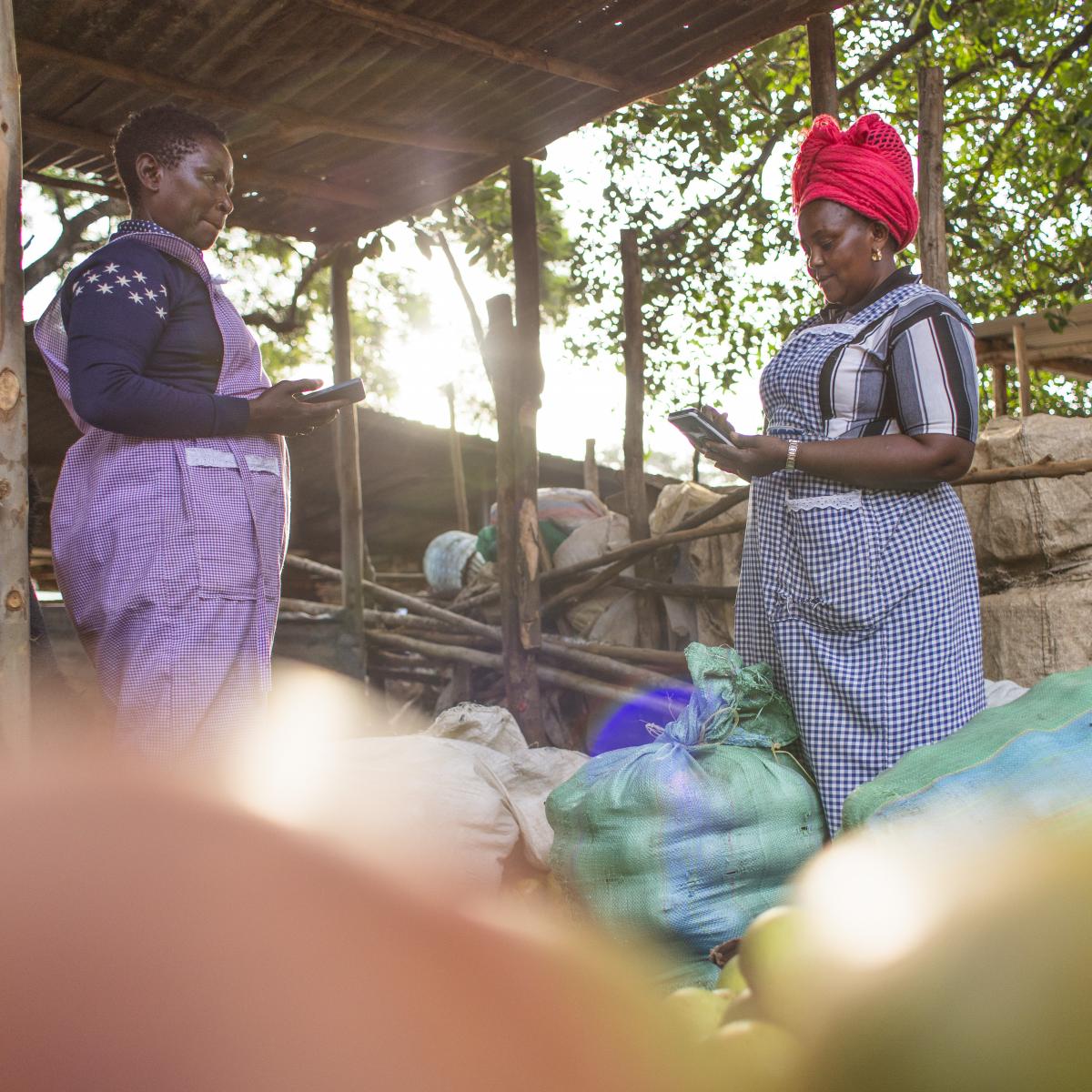 Two women standing conduct a transaction for a large produce purchase using the smartphones that each is holding.