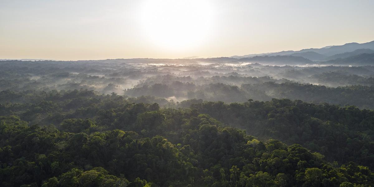 An aerial panoramic view of a sunset over the Amazon forest