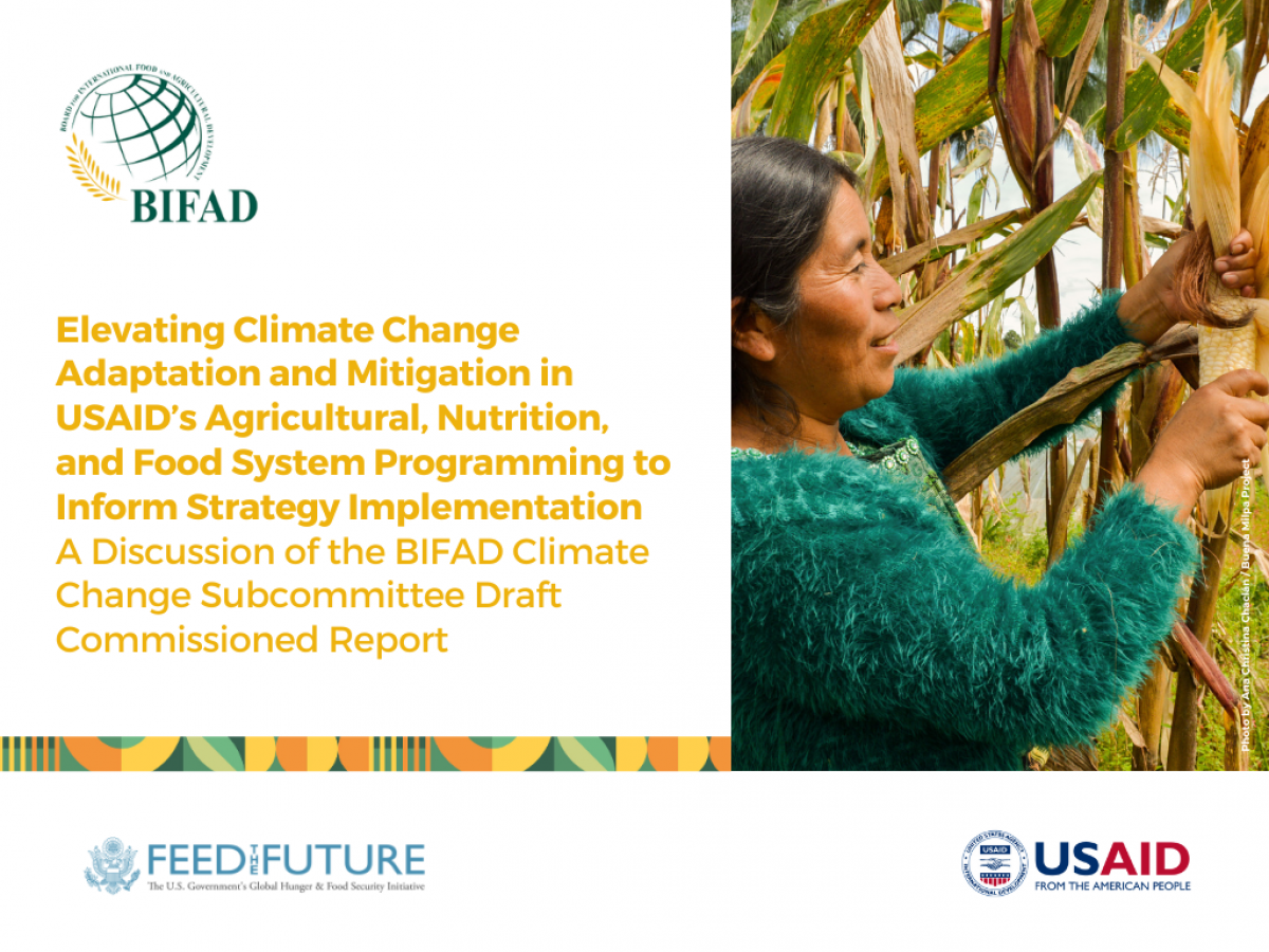 BIFAD Public Meeting: Elevating Climate Change Adaptation and Mitigation in USAID’s Agricultural, Nutrition, and Food System Programming to Inform Strategy Implementation: A Discussion of the BIFAD Climate Change Subcommittee Draft Commissioned Report