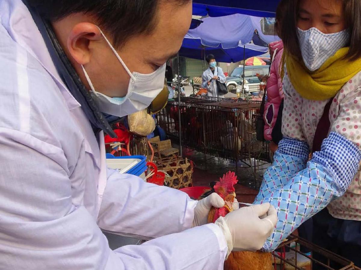 Strengthening Emerging Disease Threat Detection and Response in Asia