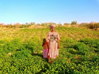 La maraîchère Binta, du village de Dogui Dombe dans le nord du Sénégal, dans son jardin de patate douce 
