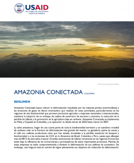 Fact Sheet Amazonia Conectada