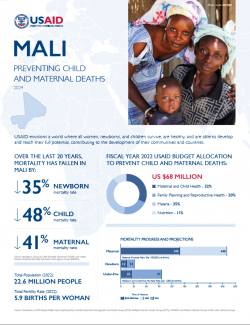 2024 MCHN Country Specific Fact Sheet: Mali