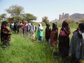Mali Shi/Yolélé Les petits exploitants agricoles de Kara