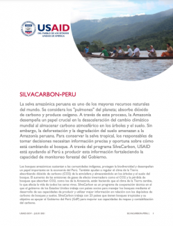 Portada de la hoja informativa de la actividad SilvaCarbon en Perú
