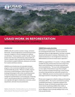 USAID Work in Reforestation