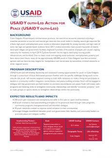 USAID Youth-Led Action for Peace (USAID Youth-Led)