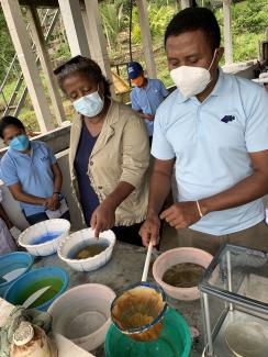 USAID/Timor-Leste Mission Director Zema Semunegus, center, observes as workers clean, count, and disinfect fish eggs at the tilapia hatchery in Leohitu.