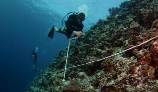 Maldivian coral reefs are recovering due in part to USAID support in developing management plans for coral reef ecosystems and reef-dependent people. 