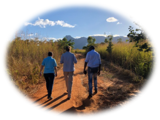 Staff from the US Forest Service, Wildlife Conservation Society, and National Agency for Conservation Areas of Mozambique walking through the Niassa Special Reserve landscape. Photo: USFS