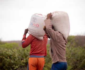 Two men each carrying a sack of food on their shoulders.