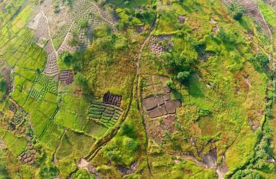 Aerial photo of farmland in Kindia, Guinea