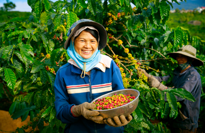 A woman in Vietnam smiles holding a bowl of freshly harvested coffee beans.