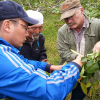 Эксперт Росс Пенхаллегон обучает Иссык-кульских фермеров, как правильно проводить обрезку фруктовых деревьев