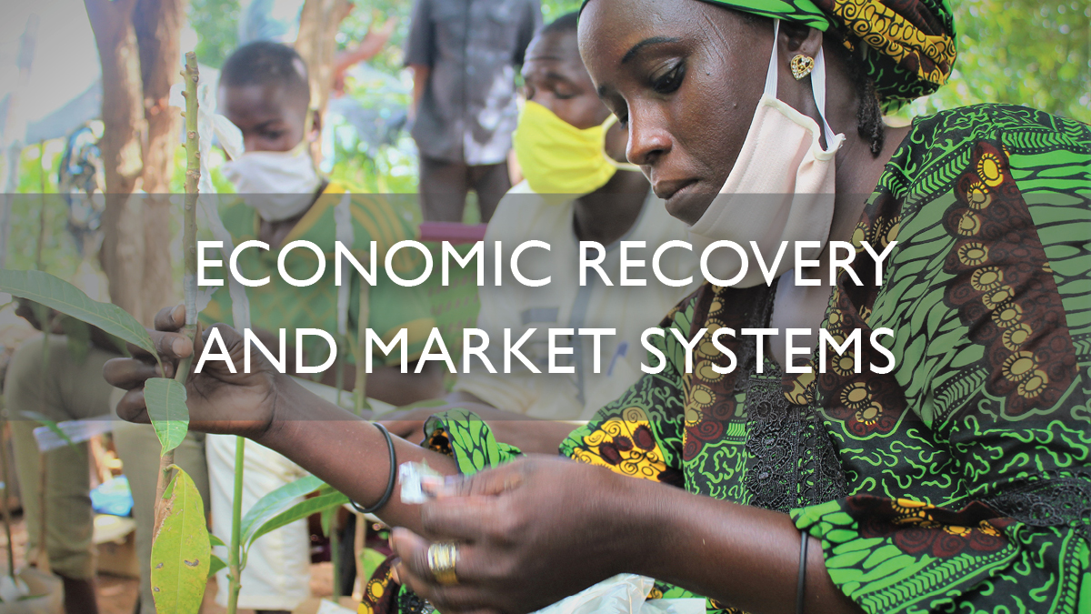 Economic Recovery and Market Systems