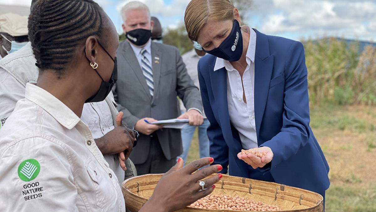 Administrator Samantha Power checks seeds during a visit with farmers