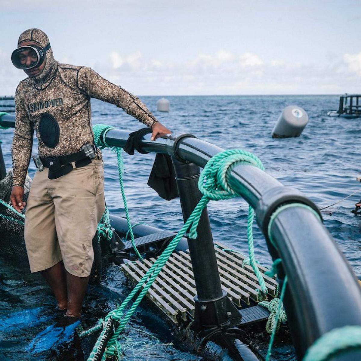 In 2015, USAID partnered with Aquaculture Technologies of the Marshall Islands to help the company produce more fish and become self-sufficient. USAID’s $1.7 million grant allowed the company to purchase a feed mill machine to manufacture its own fish feed.