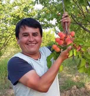 A person smiling and posing with a branch of apricots