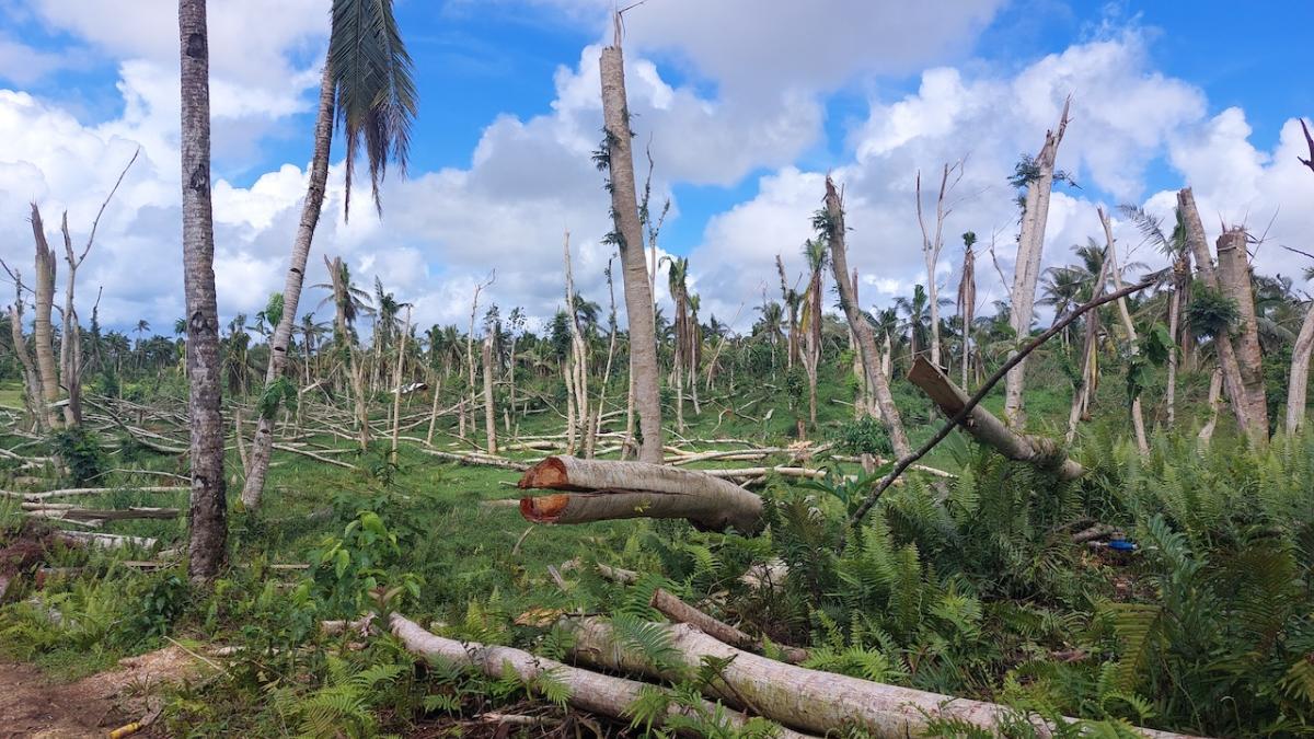 U.S. Provides Php17.5 Million to Support Ecosystem and Community Recovery After Typhoon Odette