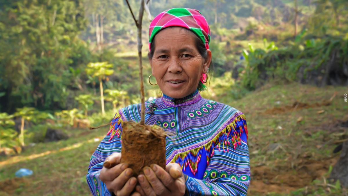 A Vietnamese woman holds a sapling in cupped hands prior to planting