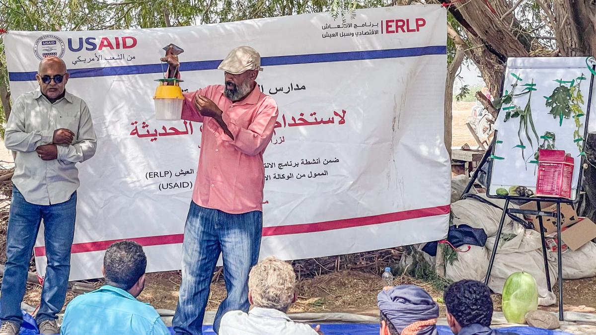 USAID’s Economic, Recovery, Livelihoods, and Agricultural Project has trained 30 more watermelon growers in Khanfer, Abyan District on integrated pest management. 